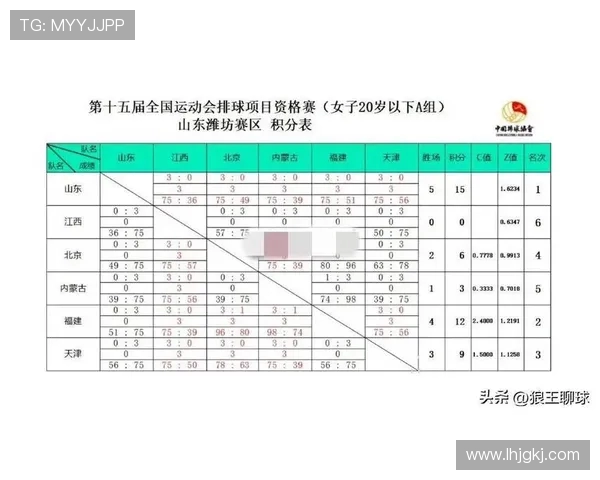 南京全运会排球队个人能力分析与表现评估